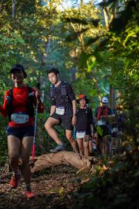 BIB: 273, 
                            <button type="button" onclick="openModal(19242618)" class="btn btn-primary btn-sm float-right btn-popup" data-toggle="modal" data-target=".modal-high-quality">
                        <i class="fas fa-shopping-cart"></i> Add to Cart
                    </button>
                                            <button type="button" onclick="isThisMe(19242618, true)" class="btn btn-success btn-sm float-right btn-popup btn-isme hidden" data-toggle="tooltip" data-placement="bottom" title="นี่คือรูปของคุณใช่ไหม คลิกที่นี่เพื่อเอาเข้าอัลบั้ม">
                        <i class="fas fa-plus"></i> Add to album
                    </button>
                    <button type="button" onclick="isThisMe(19242618, false)" class="btn btn-warning btn-sm float-right btn-popup btn-isnotme hidden">
                        <i class="fas fa-ban"></i> Remove from album
                    </button>